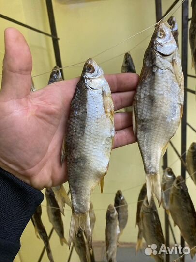 Тарань вяленая азовская