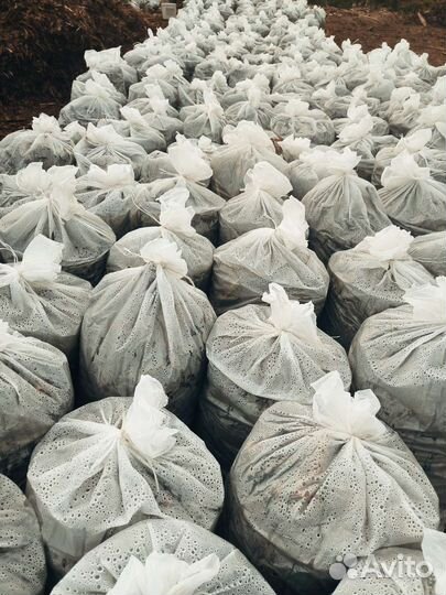 Кора сосны мешки 60л