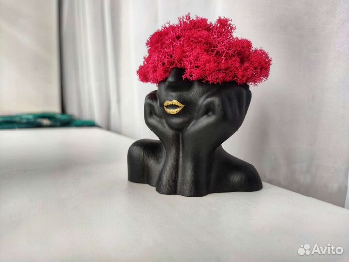 Кашпо со стабилизированным мхом