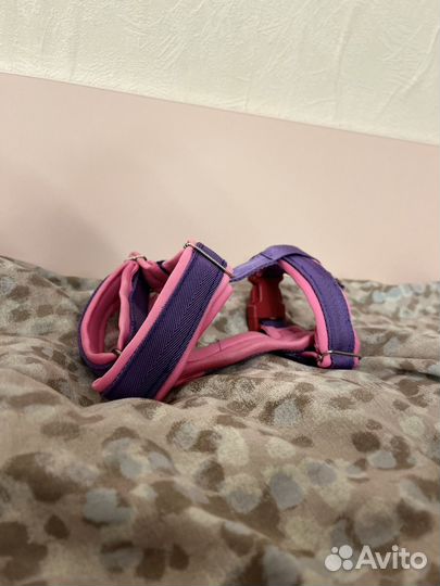 Амуниция для собак (описание)