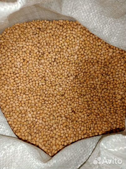 Соевые бобы 1 кг