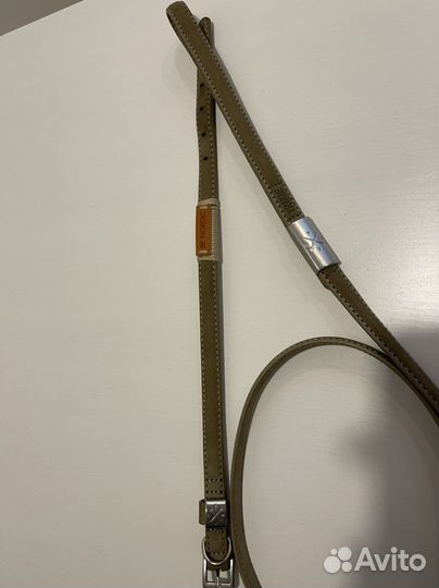 Ошейник и поводок для животного