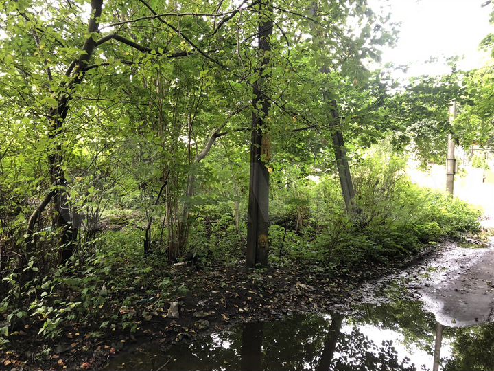 Участок 8,3 сот. (ИЖС)