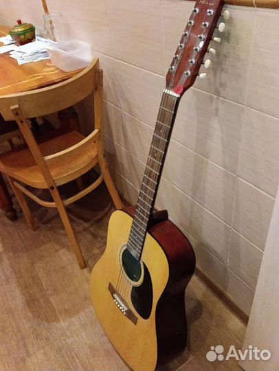 12 ти струнная гитара