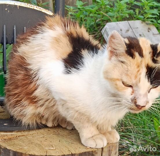 Нужна передержка