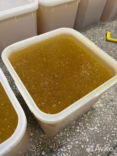 Оптом мед донник