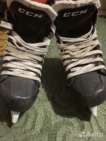 Коньки хоккейные ccm ft 460 jr