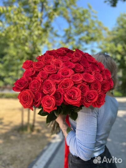 Алые розы 70 см Эквадор
