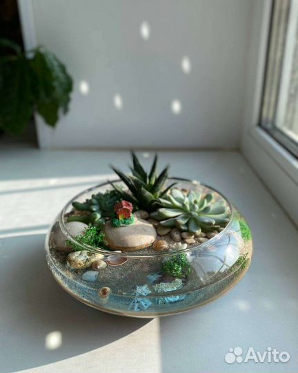 Флорариум с суккулентами и имитацией озера