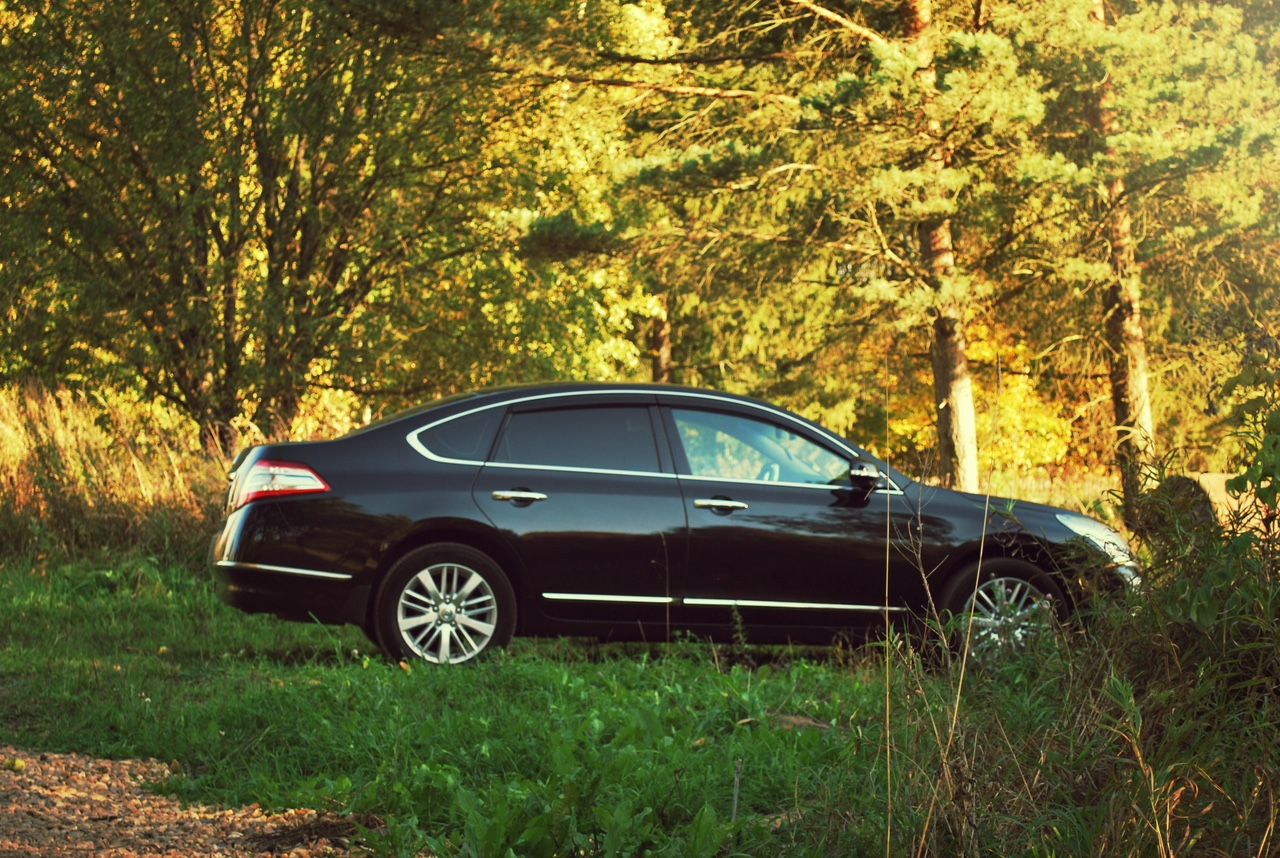 Nissan Teana: фото владельца