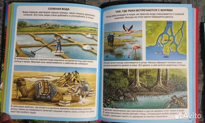 Детская энциклопедия 