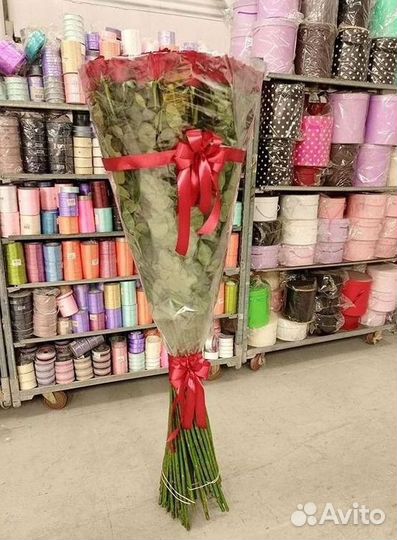 Высокие розы Гигантские розы 110