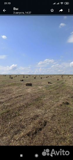 Сено в тюках