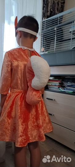 Костюм белки