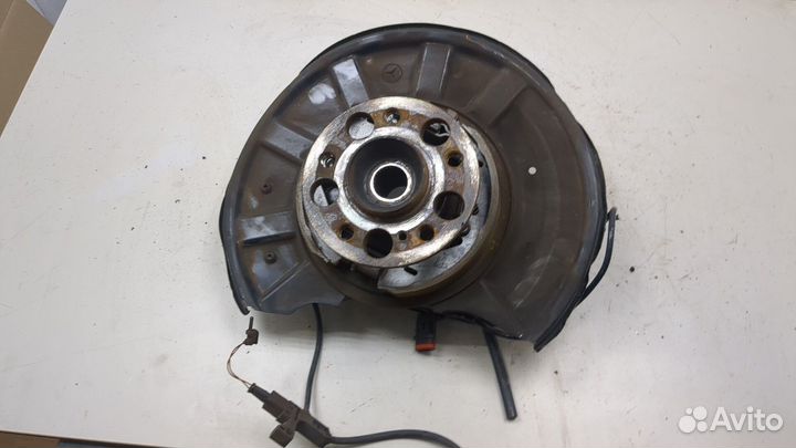 Ступица (кулак, цапфа) Mercedes CLS C218, 2013