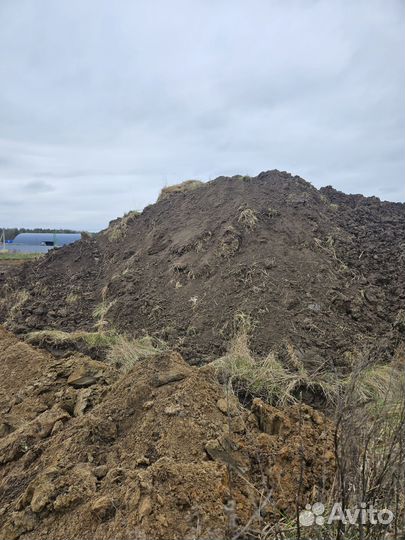 Земля чернозем плодородный грунт