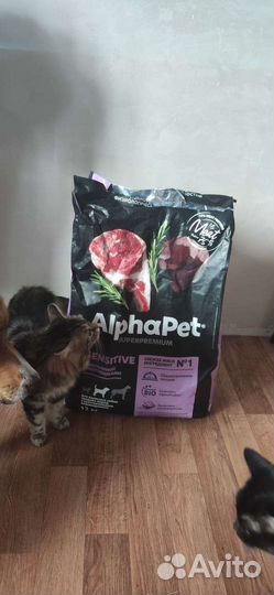 Собачий корм сухой