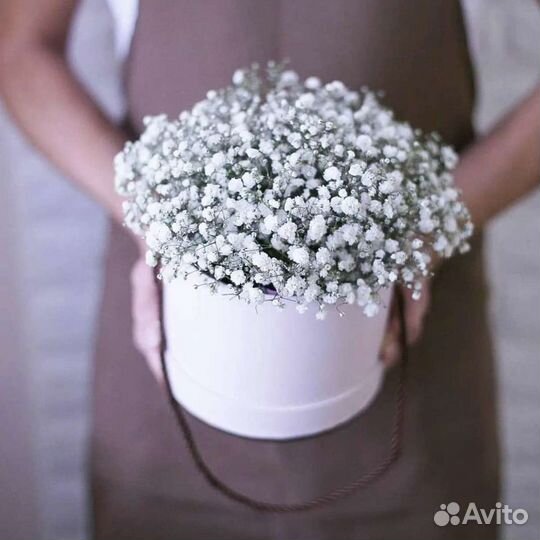 Букет из гипсофилы доставка