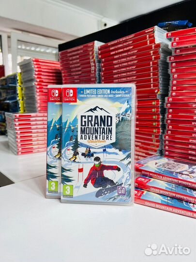 Nintendo Grand Mountain Adventure Wonderlands