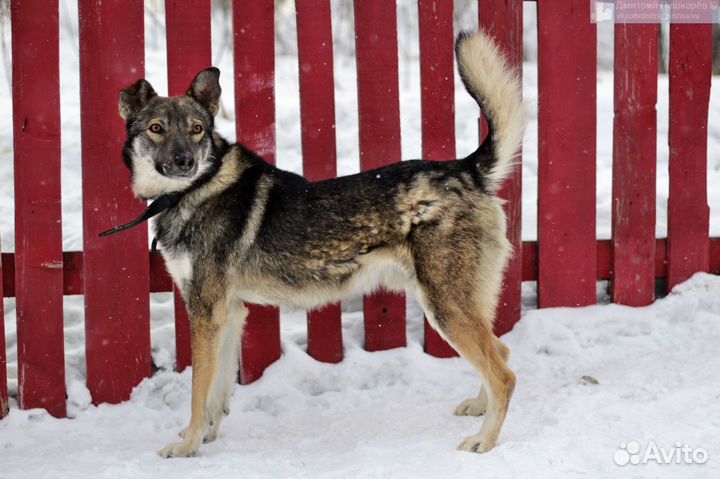 Лазер в добрые руки