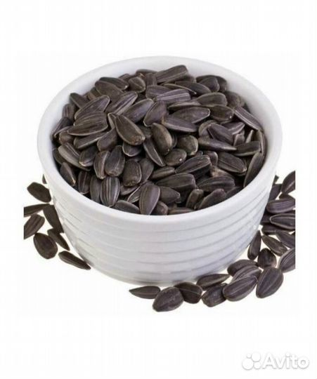 Семечку маслянку