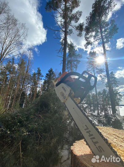 Спил деревьев, расчистка участков