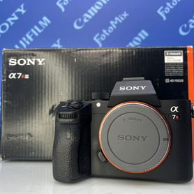 Sony a7r iii (9536)