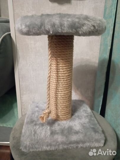 Когтеточка для котят