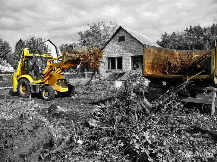 Спил деревьев/Расчистка/Дробление веток/Вывоз мусо
