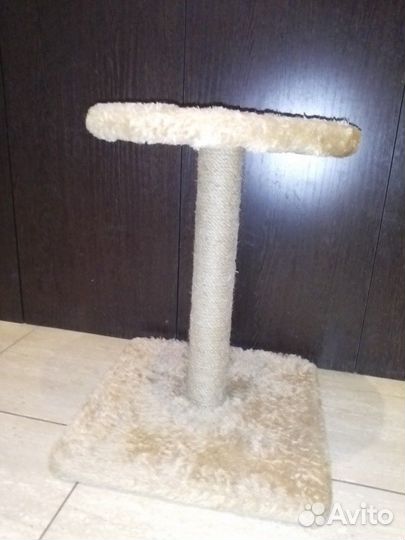 Когтеточка