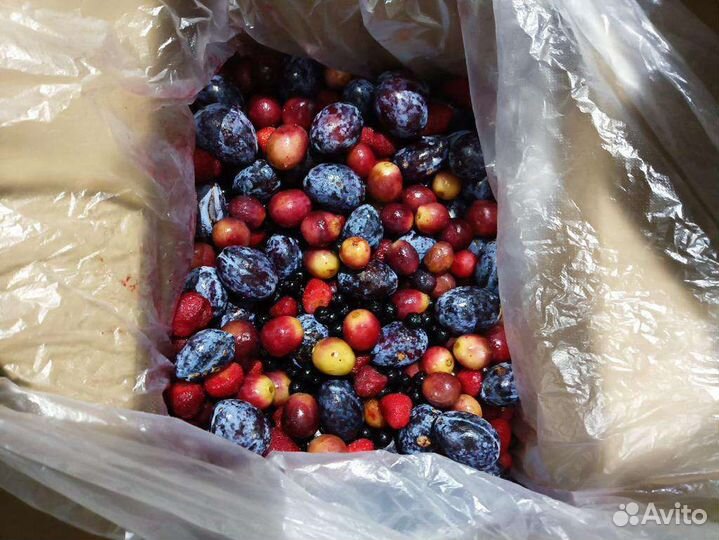 Компотная смесь свежезамороженная