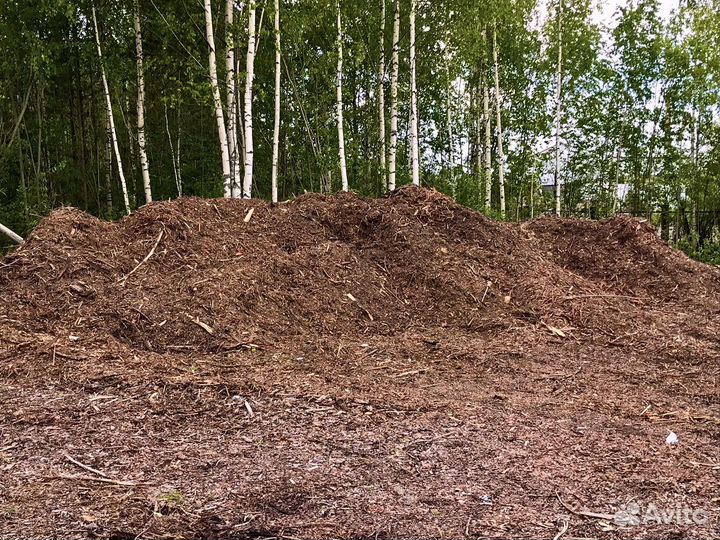 Кора хвойная бесплатно