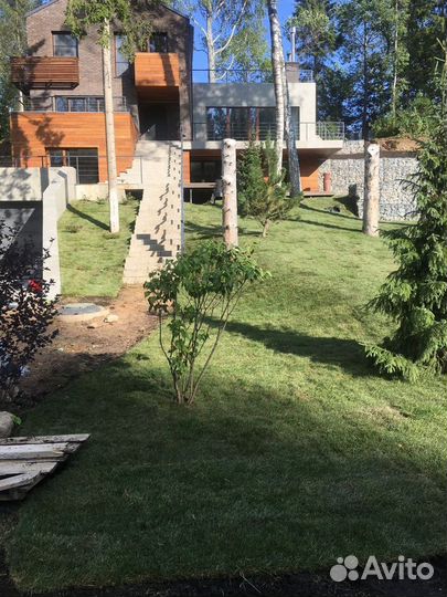 Укладка газона элитный