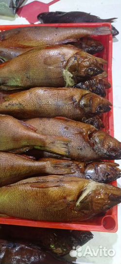 Рыба горячего, холодного копчения