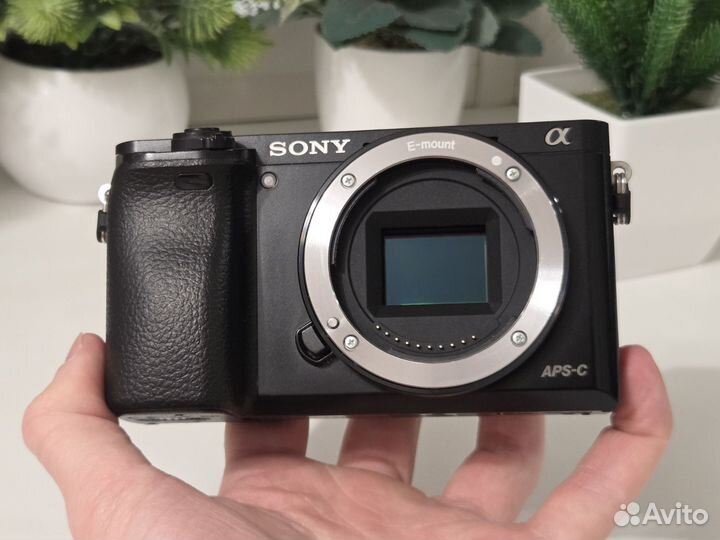 Sony A6000 Kit