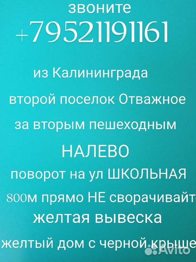 Роза Märchenzauber саженцы