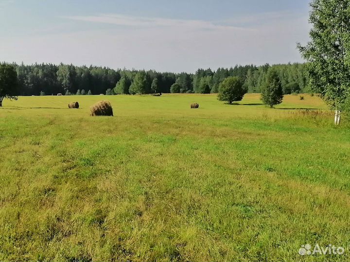 Сено в рулонах 2023г. 9