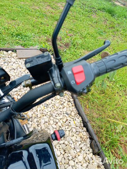 Мопед Millenium Alpha RS12M Champ