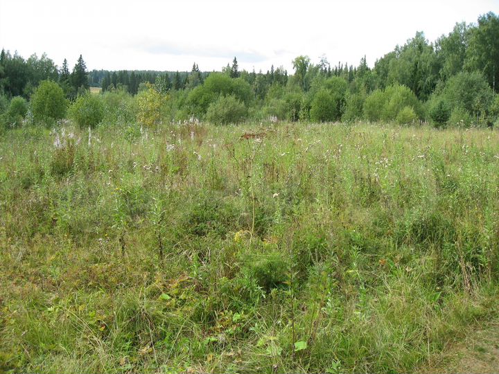 Участок 6,63 га (СНТ, ДНП)