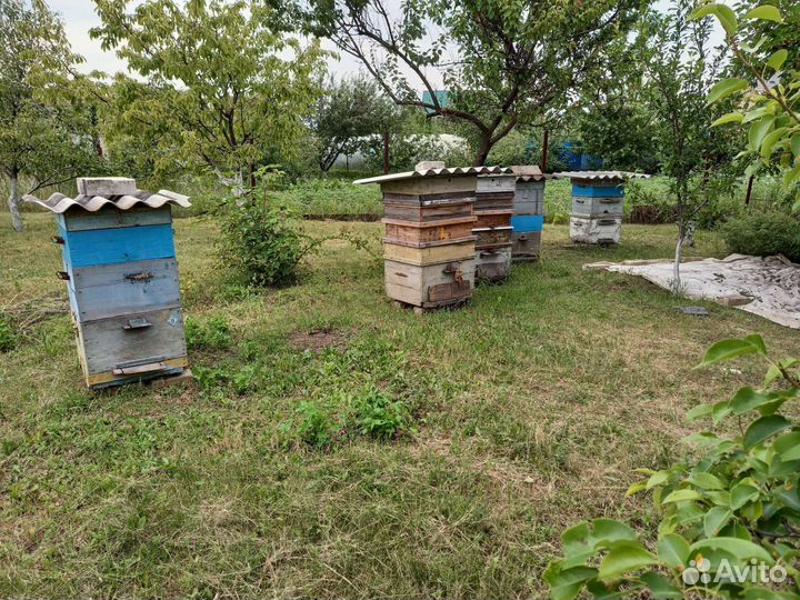 Ульи 5 фляги 15шт,воскотопка,рамки-сушь,медогонка