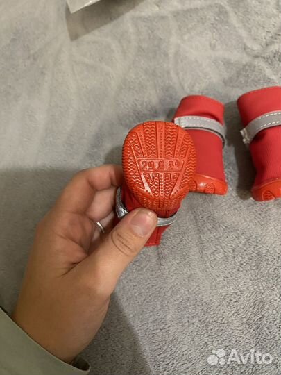 Ботинки для собак