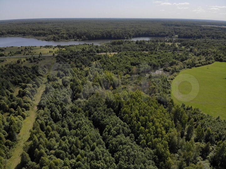 Участок 6 га (ИЖС)