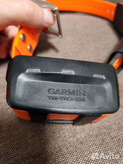 Ошейник Garmin T5 Русский для Astro 320