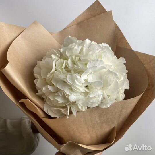 Гортензия цветы букеты с доставкой