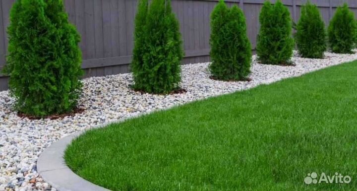Рулонный газон напрямую от производителя