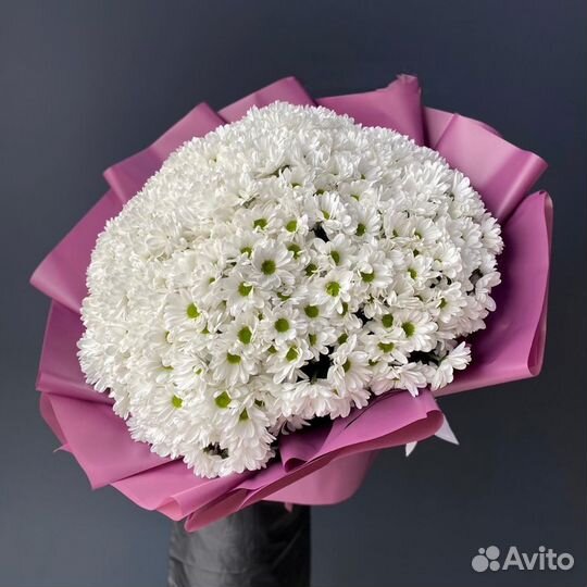 Букеты-Гиганты Хризантем