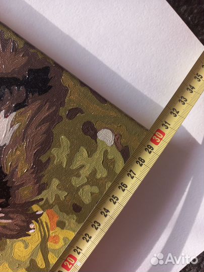 Картина по номерам собака