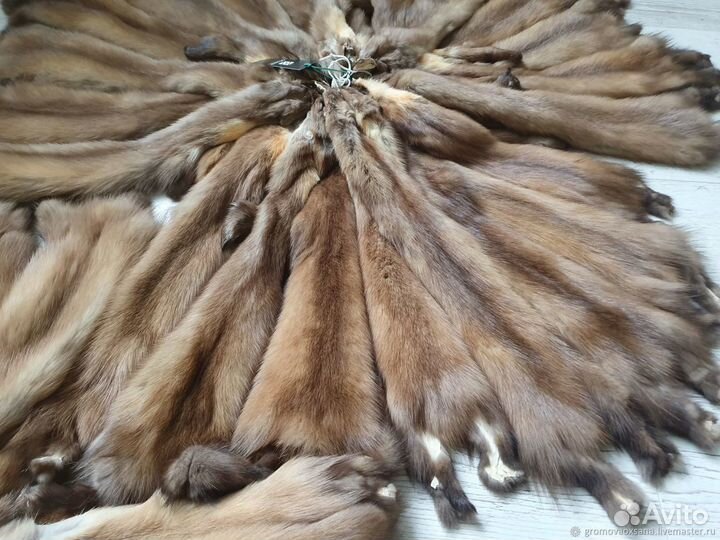 Шкурки куниц