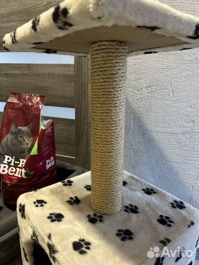 Когтеточка с домиком для кота