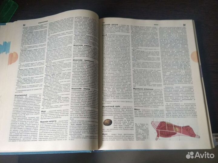 Энциклопедия домашнего хозяйства